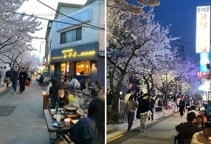 別荘 2026년 신축 독채 한옥 시원한 실내 특대형 자쿠지 프라이빗한 정원 Hanok 무료주차 ソウル特別市